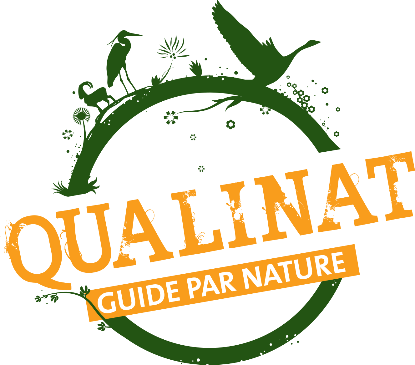 Logo de Qualinat